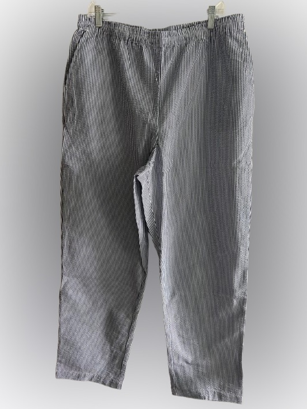 The Tog Shop Striped Pull-On Pants Size 18 Blue White Seersucker Elastic Waist